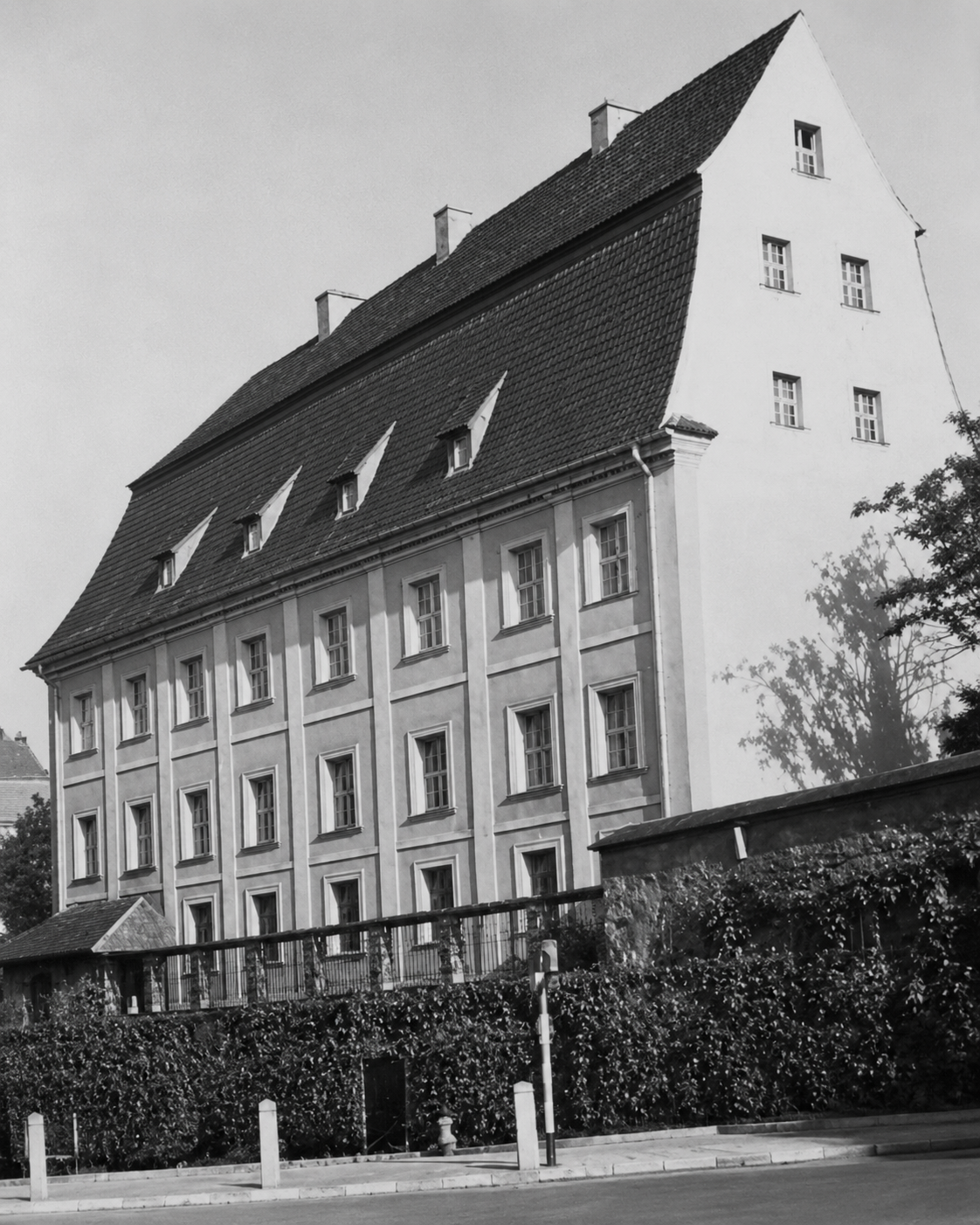 Zdjęcie: Lubań
